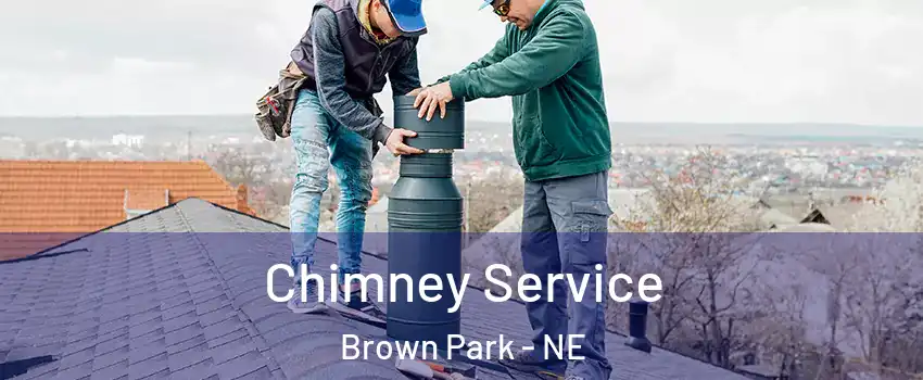 Chimney Service Brown Park - NE