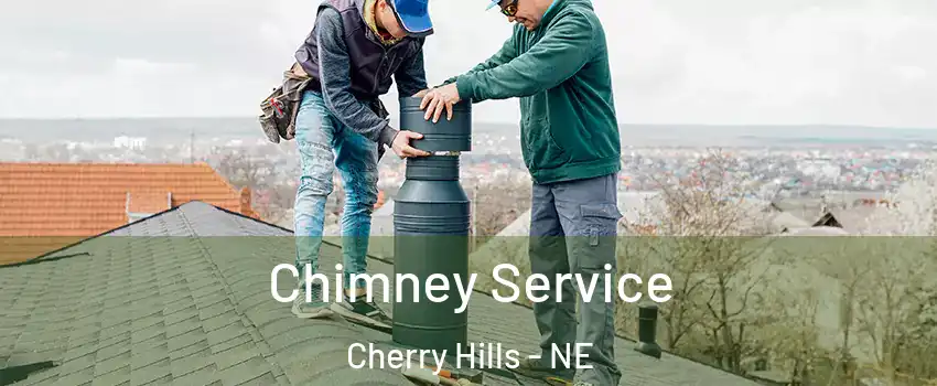 Chimney Service Cherry Hills - NE