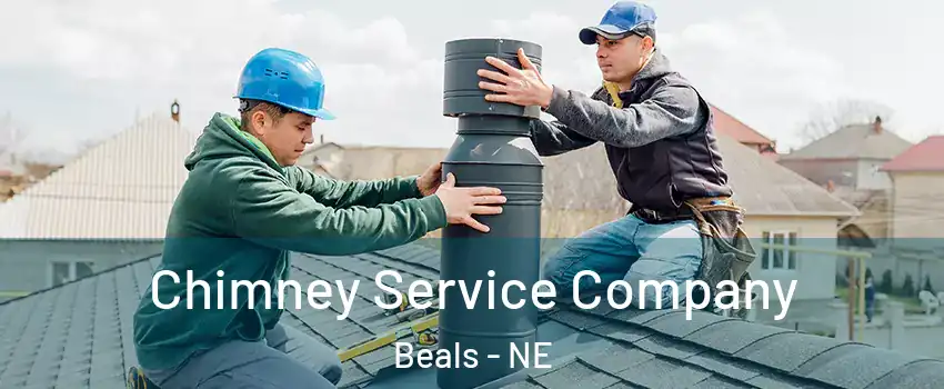 Chimney Service Company Beals - NE
