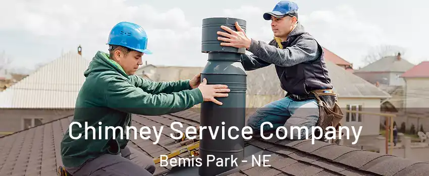 Chimney Service Company Bemis Park - NE