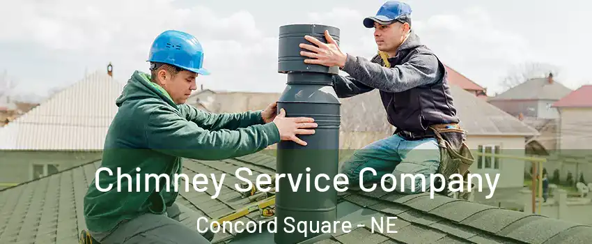 Chimney Service Company Concord Square - NE