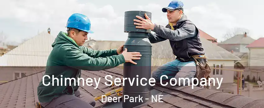 Chimney Service Company Deer Park - NE