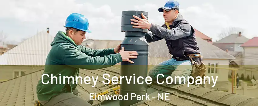Chimney Service Company Elmwood Park - NE