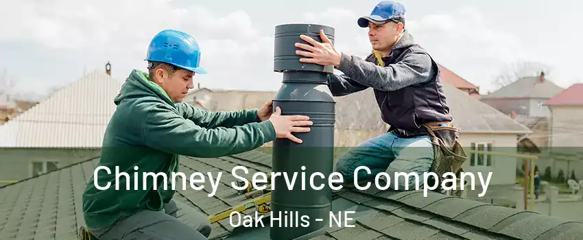 Chimney Service Company Oak Hills - NE