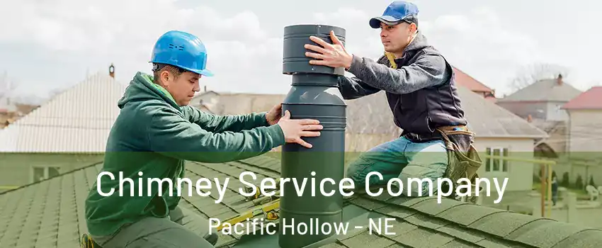 Chimney Service Company Pacific Hollow - NE