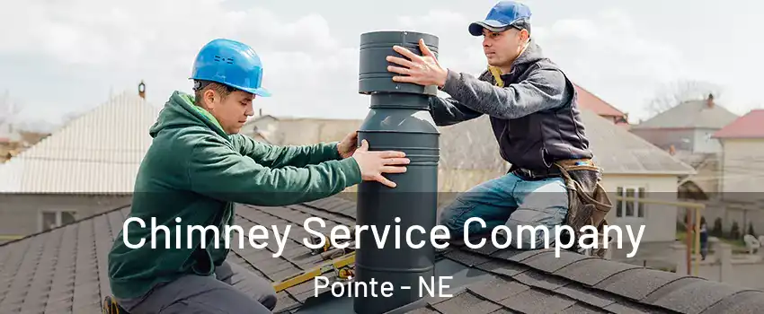 Chimney Service Company Pointe - NE