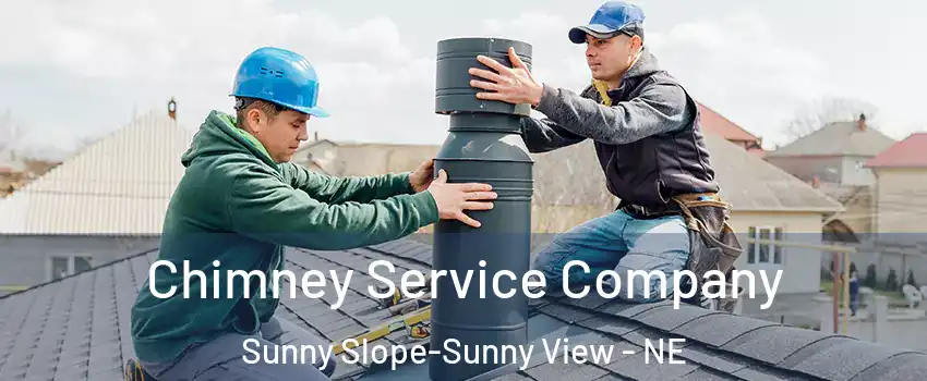 Chimney Service Company Sunny Slope-Sunny View - NE