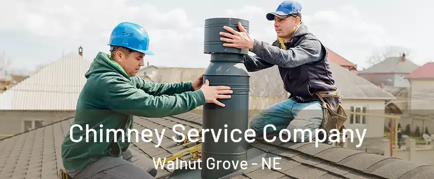 Chimney Service Company Walnut Grove - NE