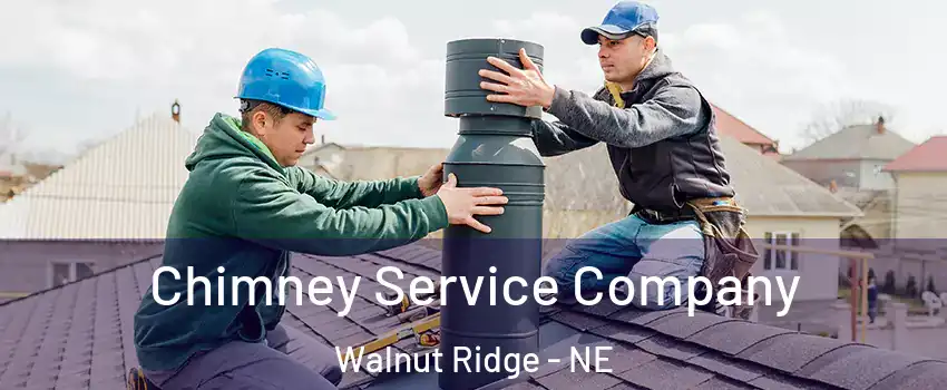 Chimney Service Company Walnut Ridge - NE