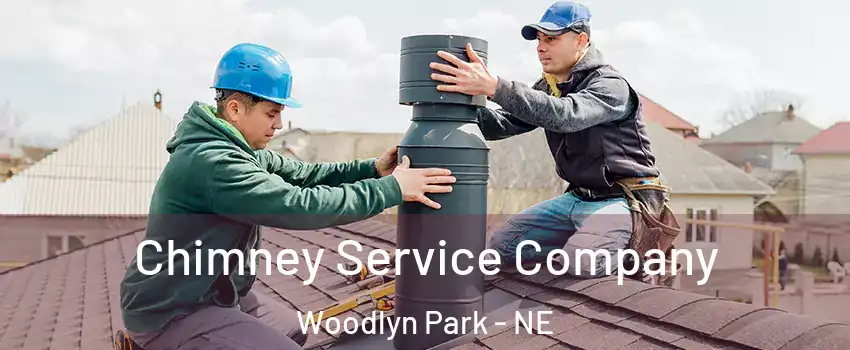 Chimney Service Company Woodlyn Park - NE