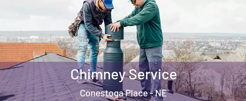 Chimney Service Conestoga Place - NE