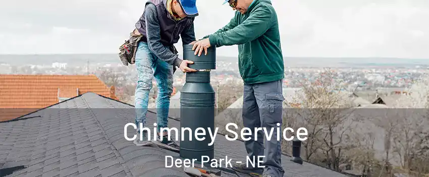 Chimney Service Deer Park - NE