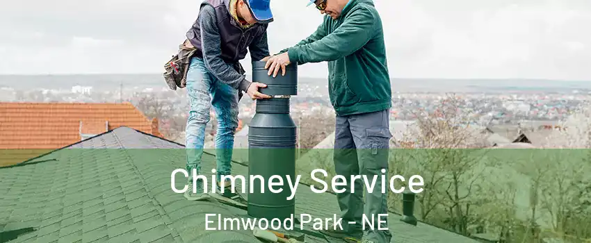 Chimney Service Elmwood Park - NE