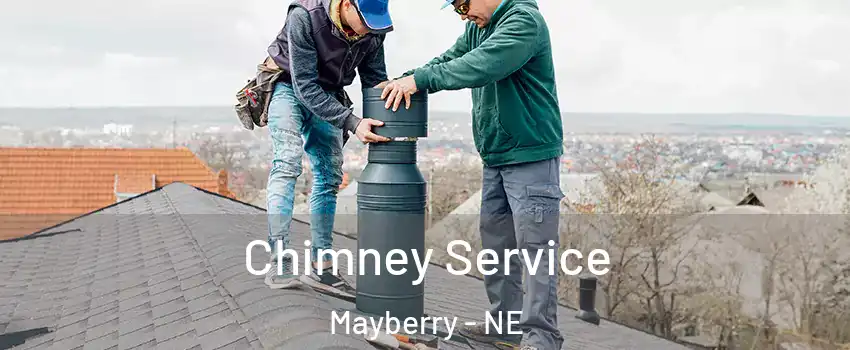 Chimney Service Mayberry - NE