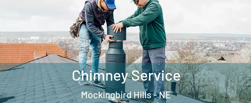 Chimney Service Mockingbird Hills - NE