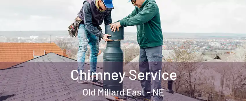 Chimney Service Old Millard East - NE