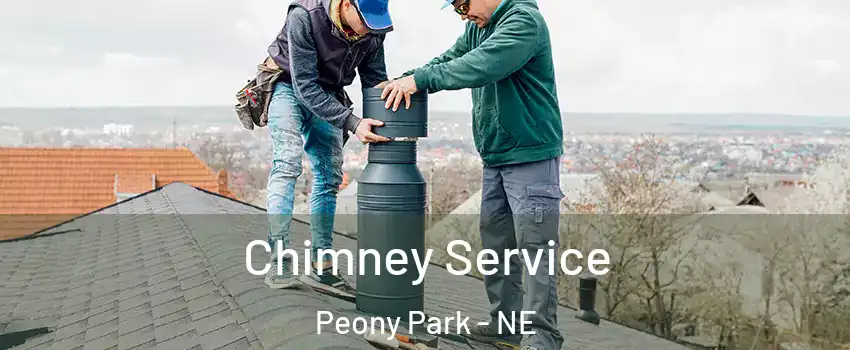 Chimney Service Peony Park - NE