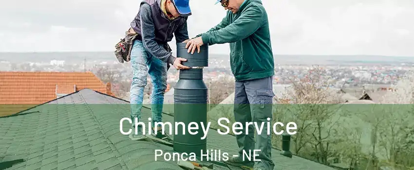 Chimney Service Ponca Hills - NE