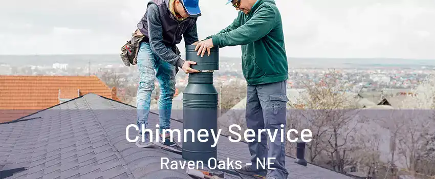 Chimney Service Raven Oaks - NE