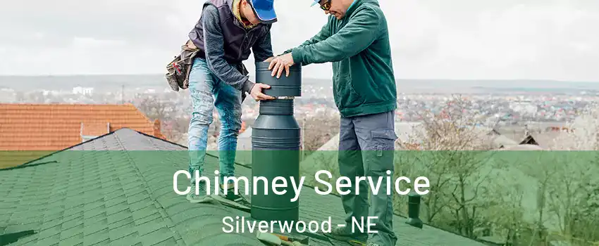 Chimney Service Silverwood - NE