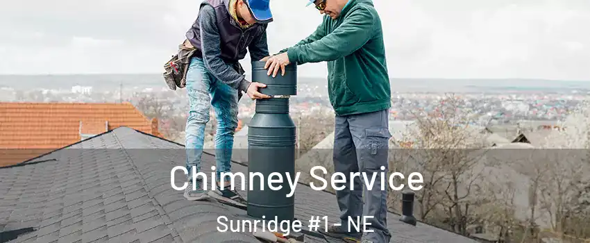 Chimney Service Sunridge #1 - NE