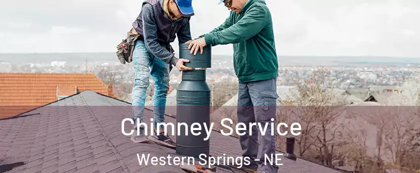 Chimney Service Western Springs - NE
