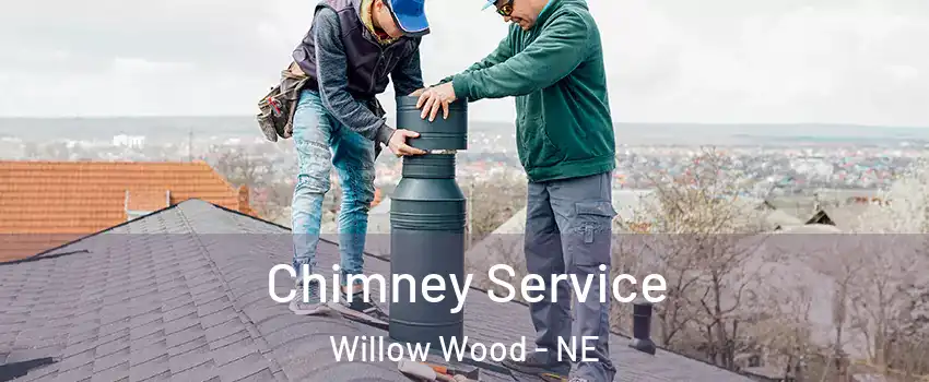 Chimney Service Willow Wood - NE