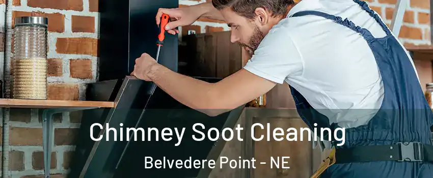 Chimney Soot Cleaning Belvedere Point - NE