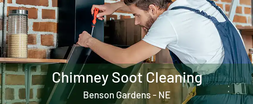 Chimney Soot Cleaning Benson Gardens - NE