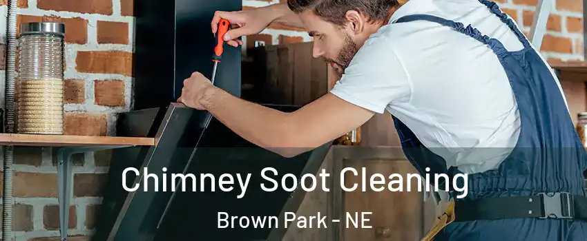 Chimney Soot Cleaning Brown Park - NE
