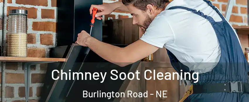 Chimney Soot Cleaning Burlington Road - NE