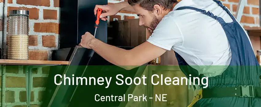 Chimney Soot Cleaning Central Park - NE