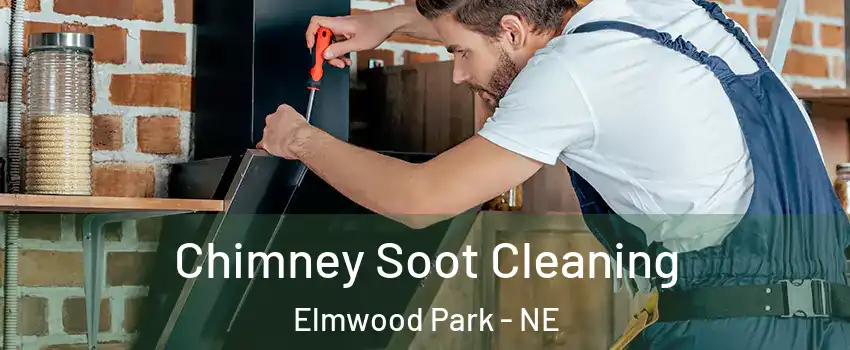 Chimney Soot Cleaning Elmwood Park - NE