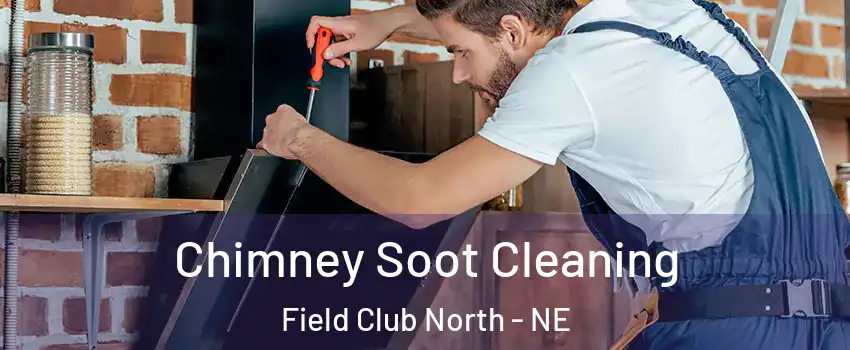 Chimney Soot Cleaning Field Club North - NE