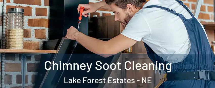 Chimney Soot Cleaning Lake Forest Estates - NE