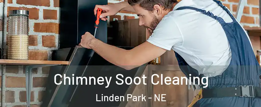 Chimney Soot Cleaning Linden Park - NE