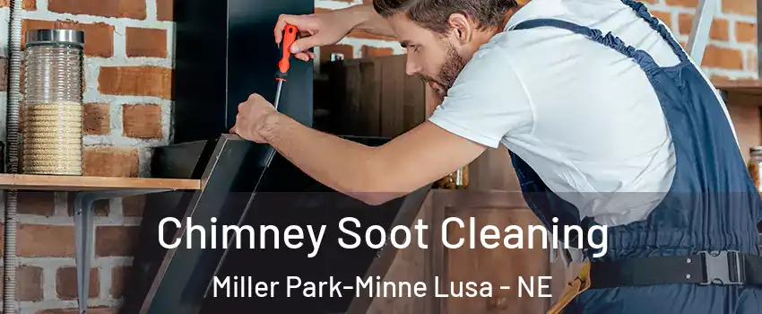 Chimney Soot Cleaning Miller Park-Minne Lusa - NE