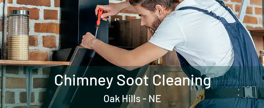 Chimney Soot Cleaning Oak Hills - NE