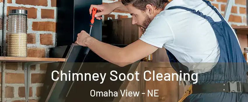 Chimney Soot Cleaning Omaha View - NE