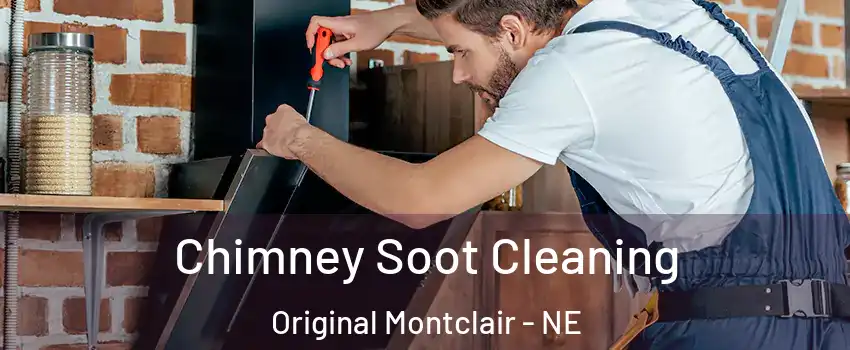 Chimney Soot Cleaning Original Montclair - NE