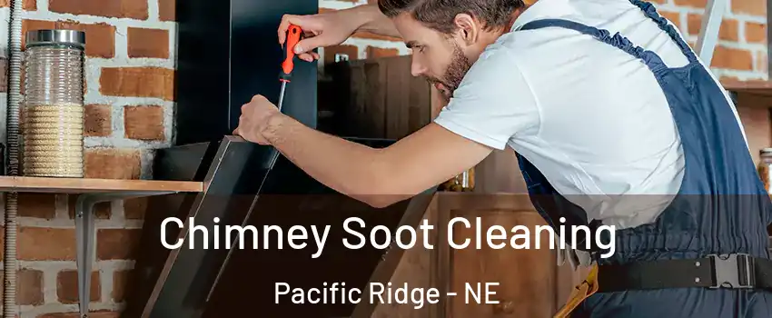 Chimney Soot Cleaning Pacific Ridge - NE