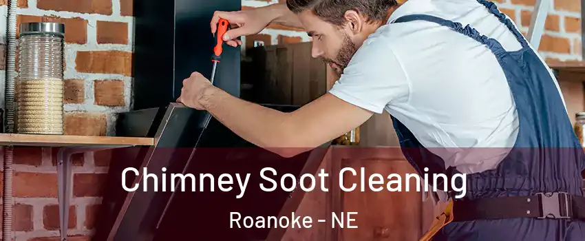 Chimney Soot Cleaning Roanoke - NE