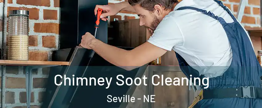 Chimney Soot Cleaning Seville - NE