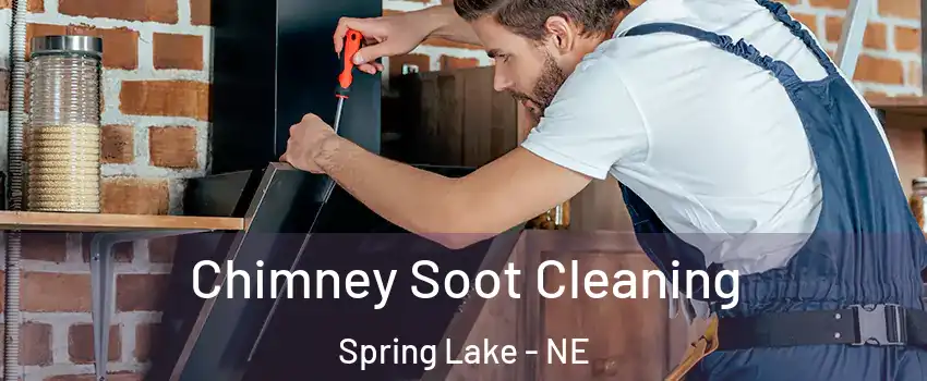 Chimney Soot Cleaning Spring Lake - NE