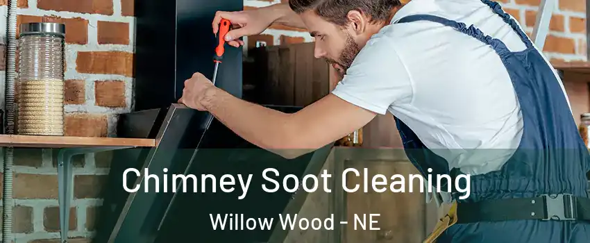 Chimney Soot Cleaning Willow Wood - NE