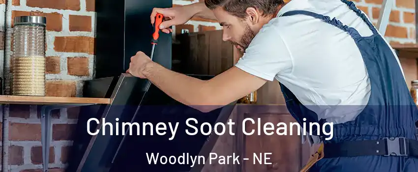 Chimney Soot Cleaning Woodlyn Park - NE