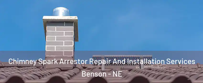 Chimney Spark Arrestor Repair And Installation Services Benson - NE