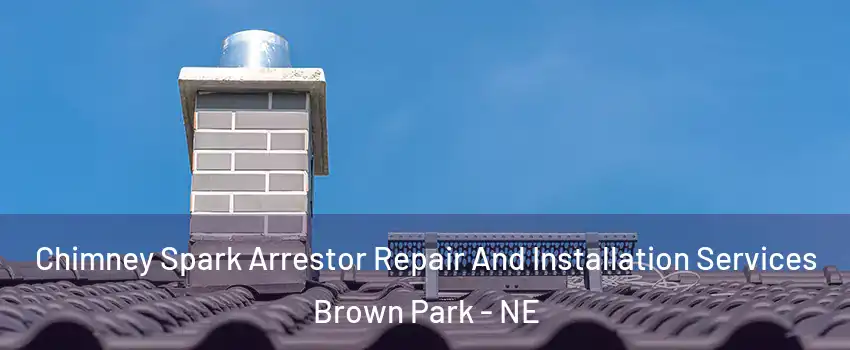 Chimney Spark Arrestor Repair And Installation Services Brown Park - NE