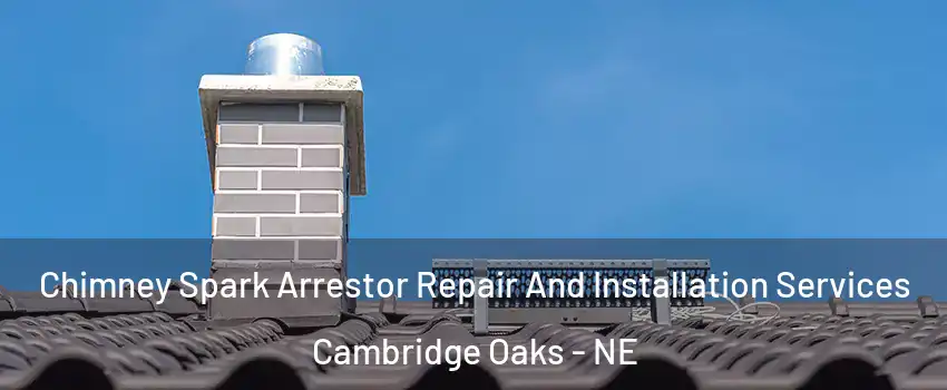 Chimney Spark Arrestor Repair And Installation Services Cambridge Oaks - NE
