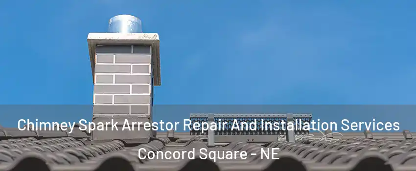 Chimney Spark Arrestor Repair And Installation Services Concord Square - NE